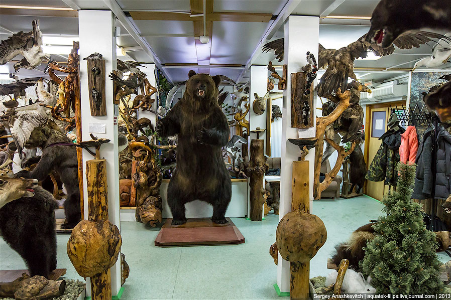 Музей Природы и Человека