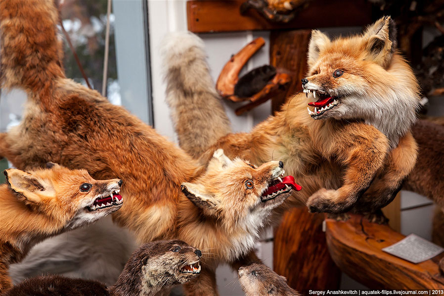 Музей Природы и Человека