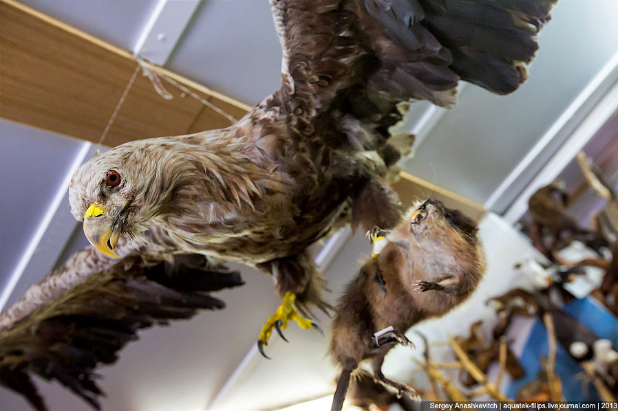 Музей Природы и Человека