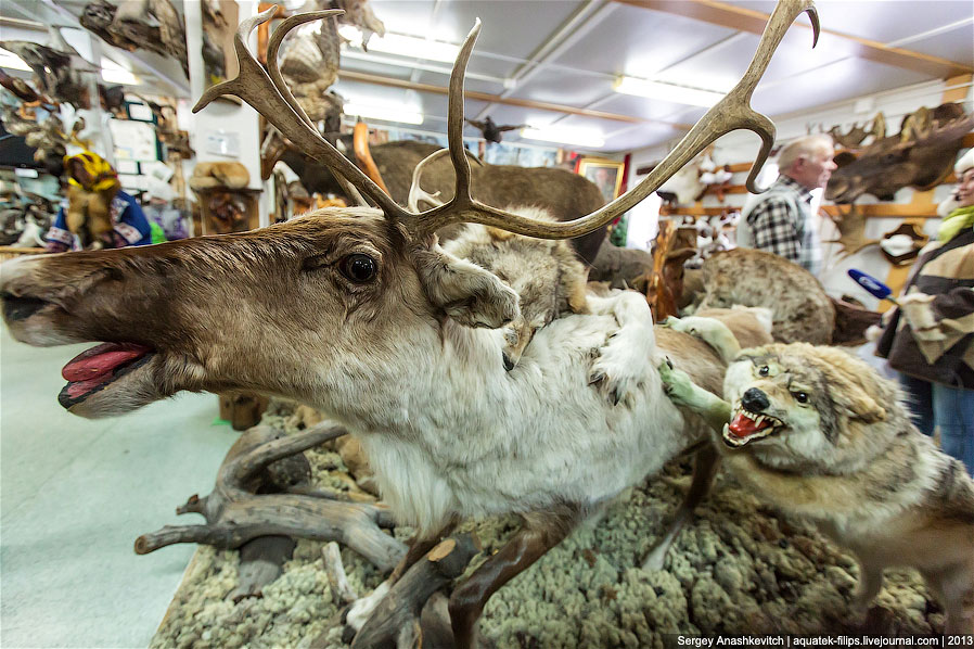 Музей Природы и Человека