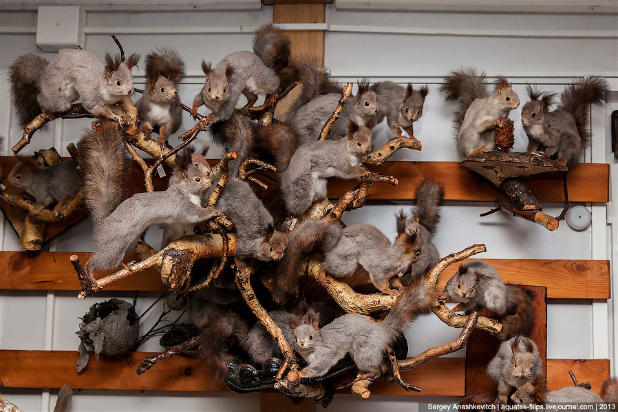 Музей Природы и Человека