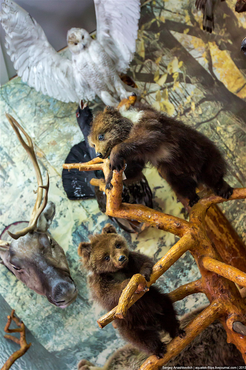 Музей Природы и Человека