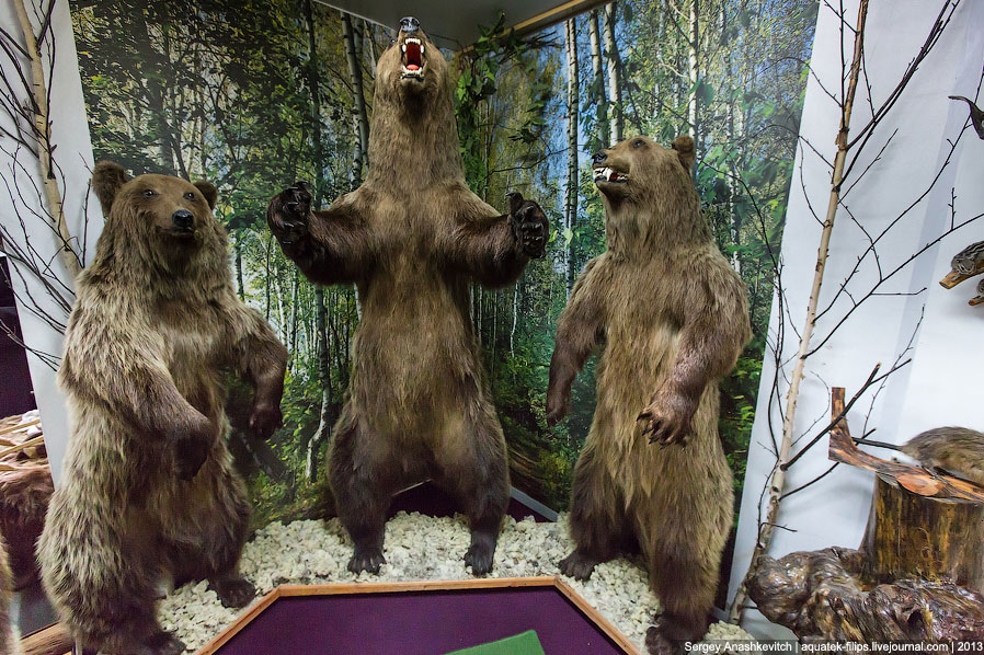 Музей Природы и Человека