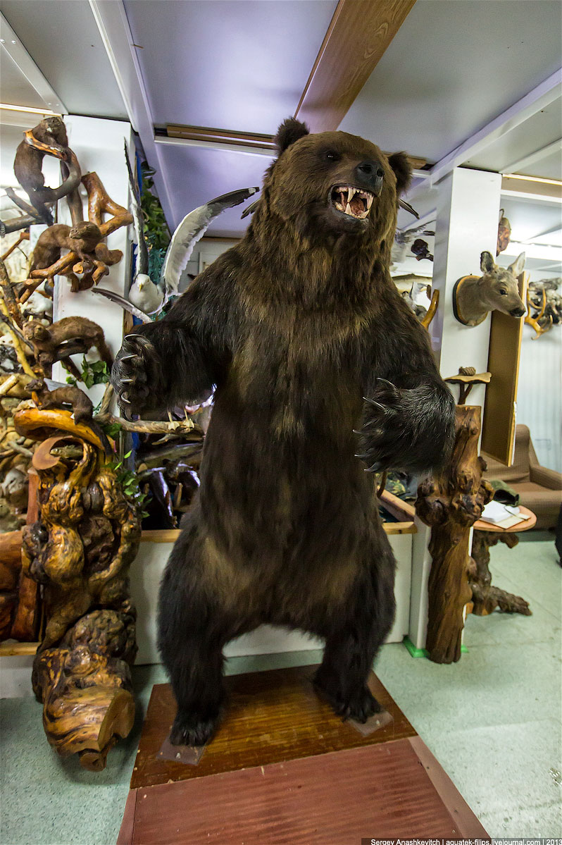 Музей Природы и Человека