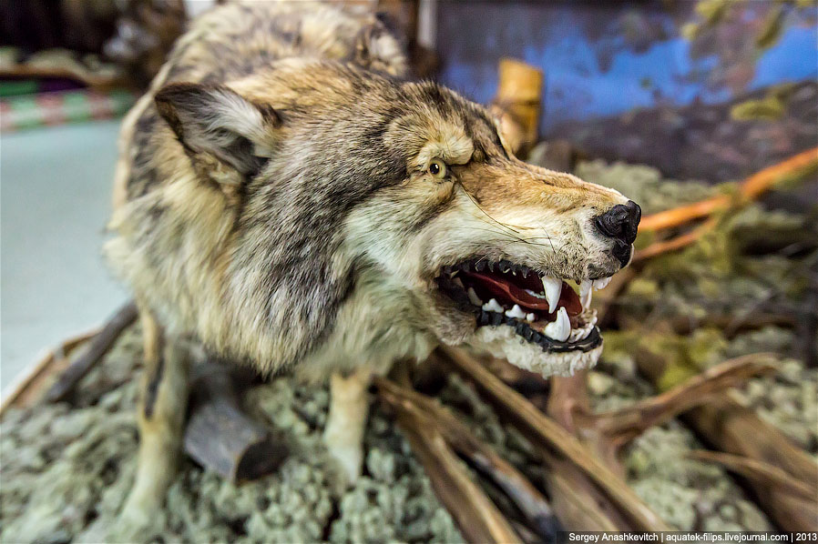 Музей Природы и Человека