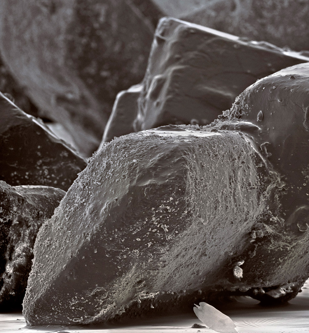 Еда под микроскопом