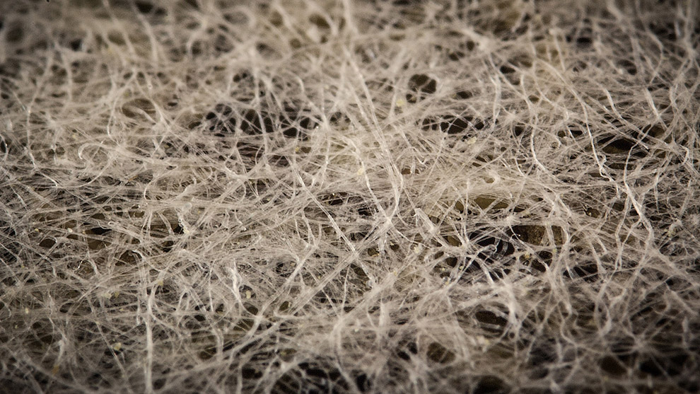 Еда под микроскопом