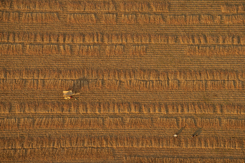 Победители Международного конкурса фотографии от журнала Smithsonian