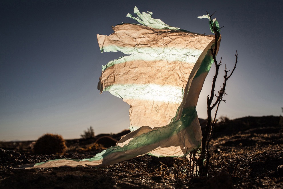 Победители конкурса Sony World Photography Awards 2015 Победители конкурса Sony World Photography Awards 2015