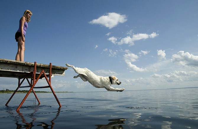 19 причин, почему озера круче, чем океаны