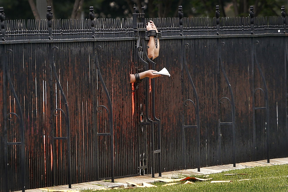 Протестующий мир Протестующий мир