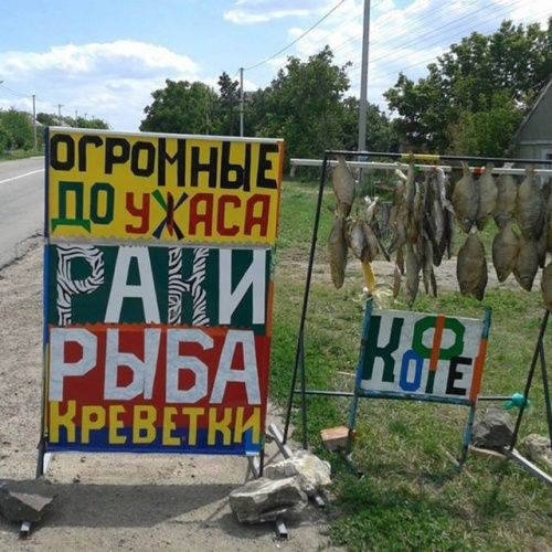 Маразмы нашей жизни