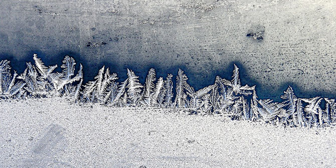 15 способов экологичного использования кофейной гущи 15 способов экологичного использования кофейной гущи