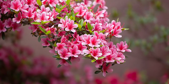 15 способов экологичного использования кофейной гущи 15 способов экологичного использования кофейной гущи