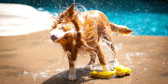 15 способов экологичного использования кофейной гущи 15 способов экологичного использования кофейной гущи