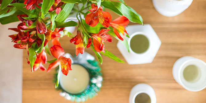 15 способов экологичного использования кофейной гущи 15 способов экологичного использования кофейной гущи