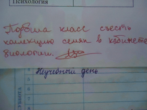 Смешные записи в дневниках школьников (50 фото)