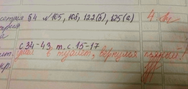 Смешные записи в дневниках школьников (50 фото)