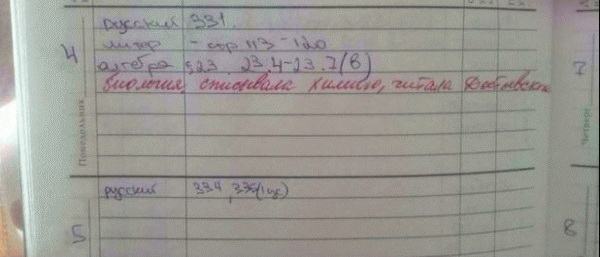 Смешные записи в дневниках школьников (50 фото)