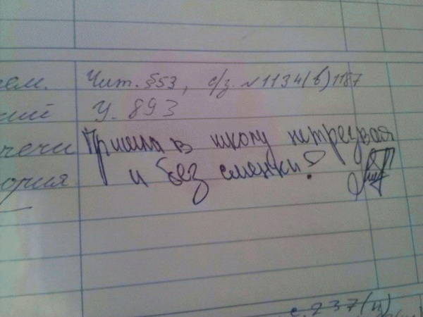 Смешные записи в дневниках школьников (50 фото)