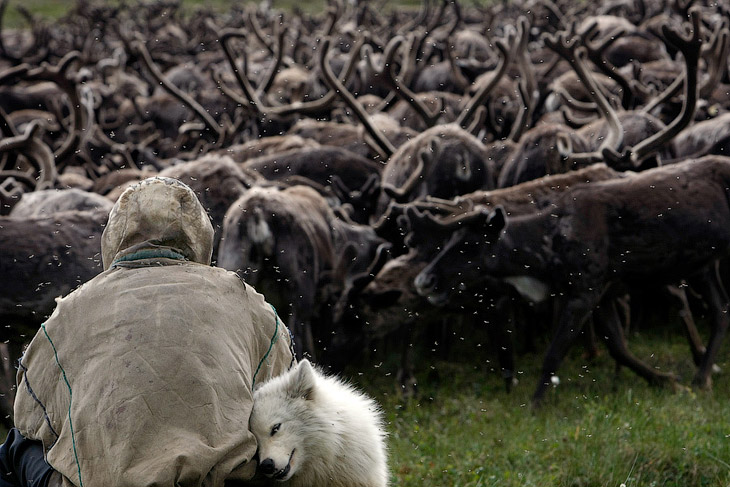 Фотограф Денис Синяков Фотограф Денис Синяков
