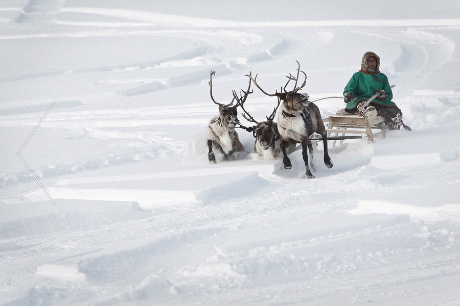 Фотограф Денис Синяков Фотограф Денис Синяков