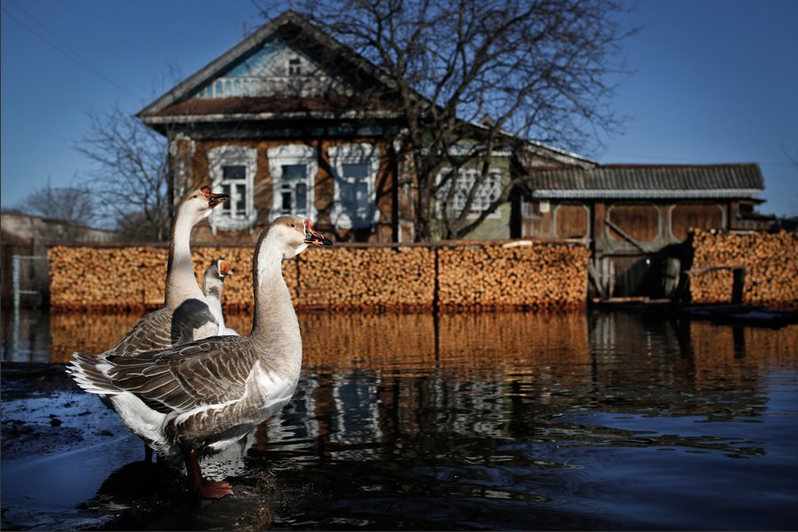 Фотограф Денис Синяков Фотограф Денис Синяков