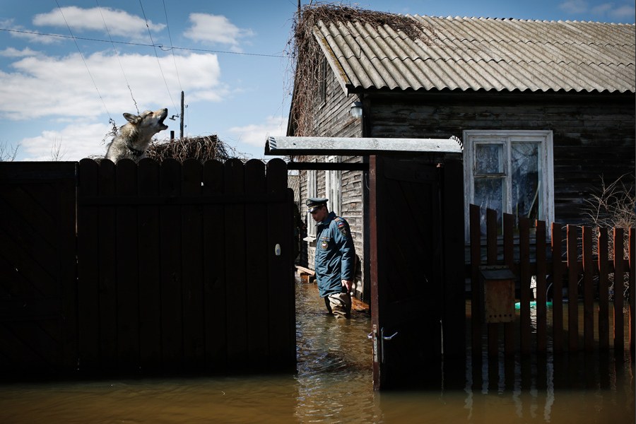 Фотограф Денис Синяков Фотограф Денис Синяков