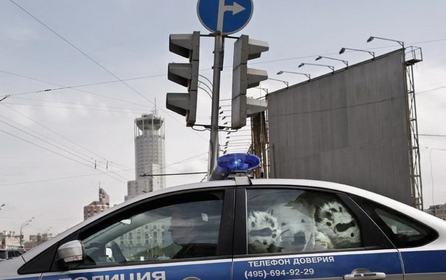 Фотограф Денис Синяков Фотограф Денис Синяков