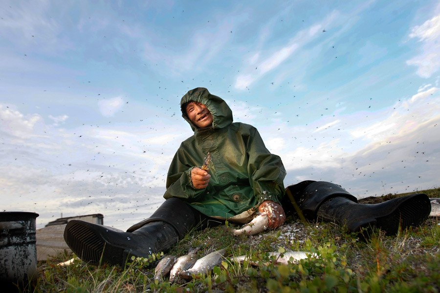 Фотограф Денис Синяков Фотограф Денис Синяков