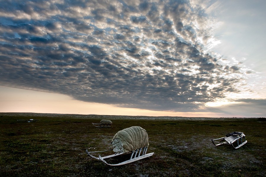 Фотограф Денис Синяков Фотограф Денис Синяков