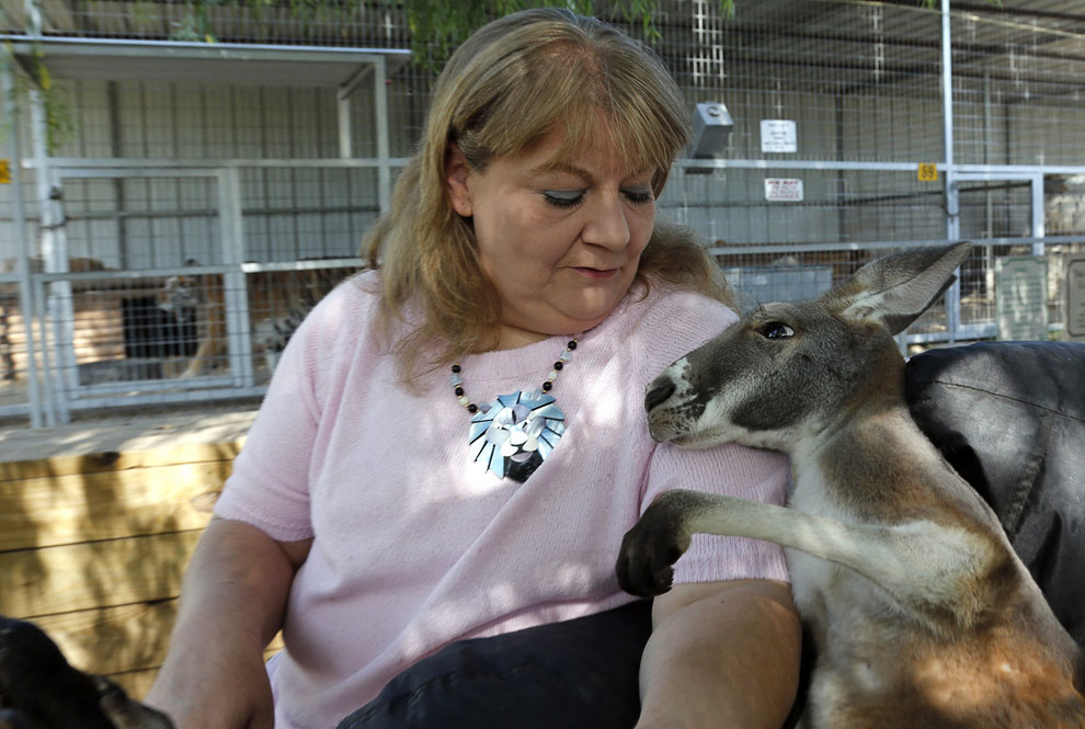 Животные, которые делают новости Животные, которые делают новости