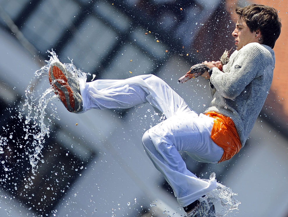 Животные, которые делают новости Животные, которые делают новости