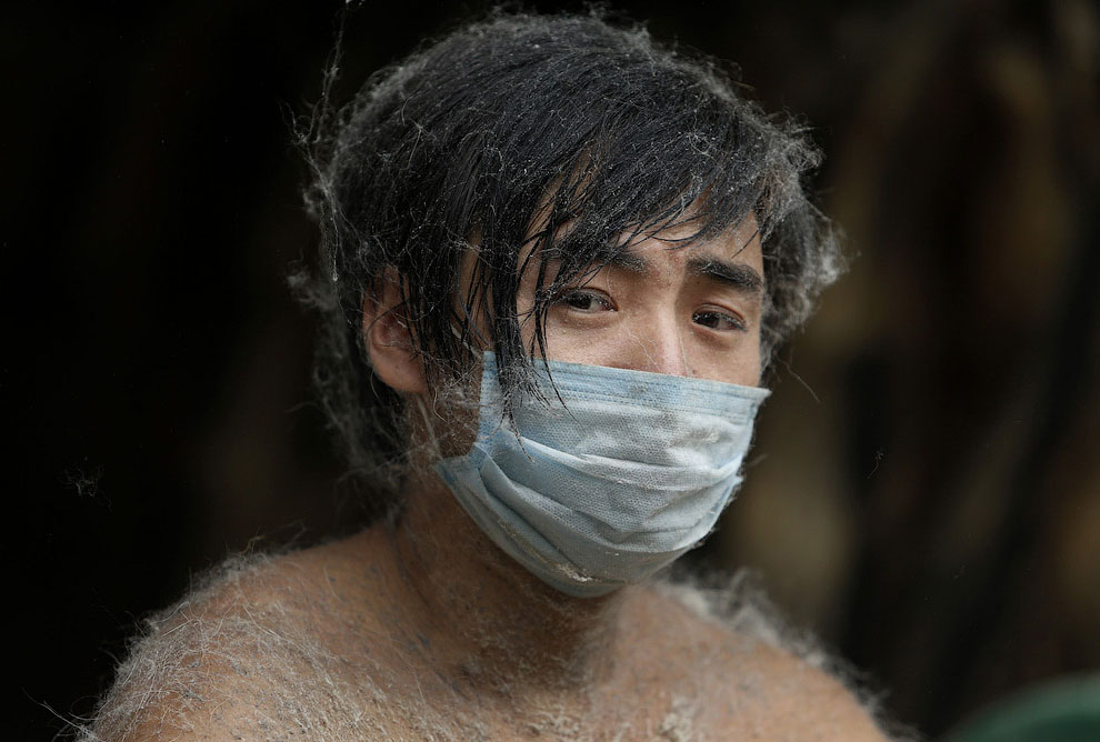 Животные, которые делают новости Животные, которые делают новости