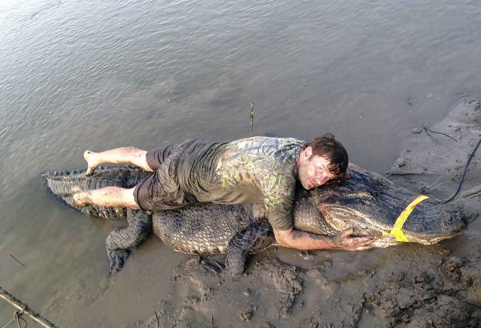 Животные, которые делают новости Животные, которые делают новости