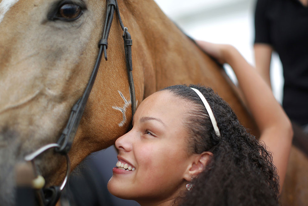 Животные, которые делают новости Животные, которые делают новости