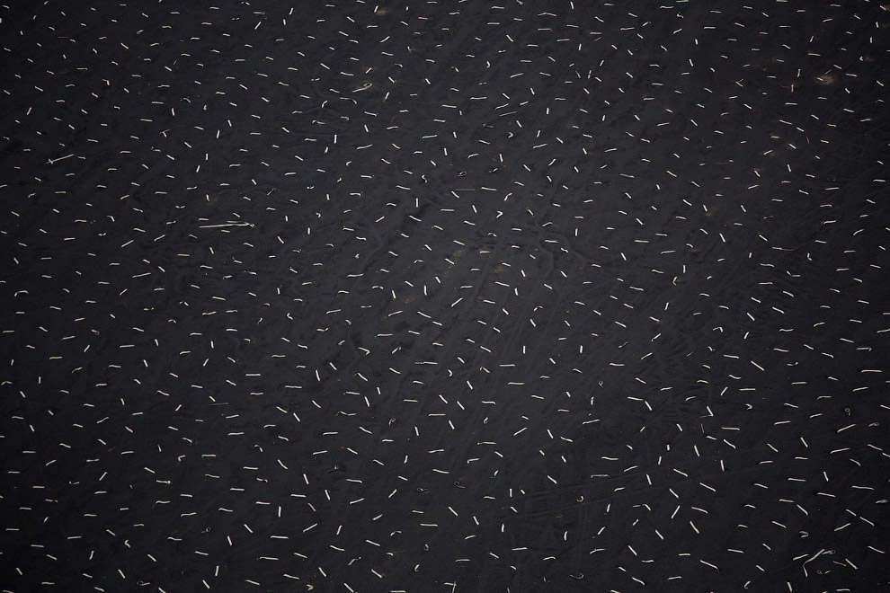 Нефтеносные пески Канады Нефтеносные пески Канады