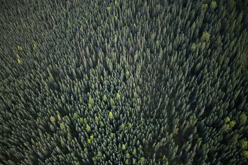 Нефтеносные пески Канады Нефтеносные пески Канады