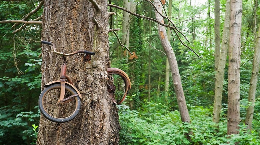 Места, где природа одолела цивилизацию (21 фото)