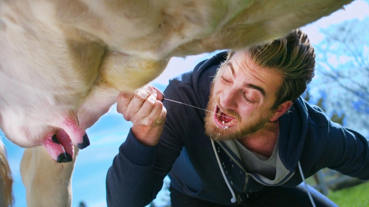 12 удивительных и малоизвестных фактов о молоке 12 удивительных и малоизвестных фактов о молоке