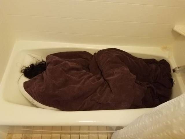 Пьяный юмор