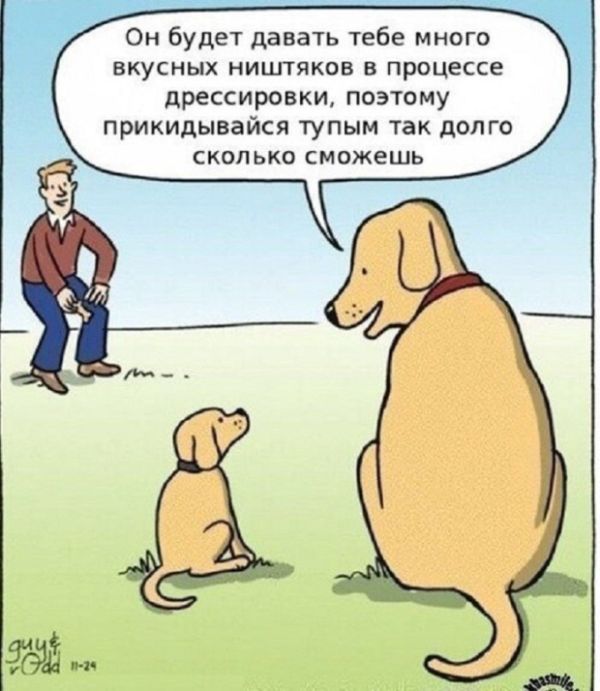 Смешные комиксы