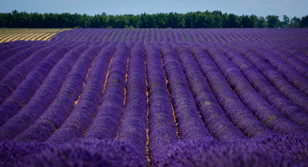 Происхождение названий стран мира Происхождение названий стран мира