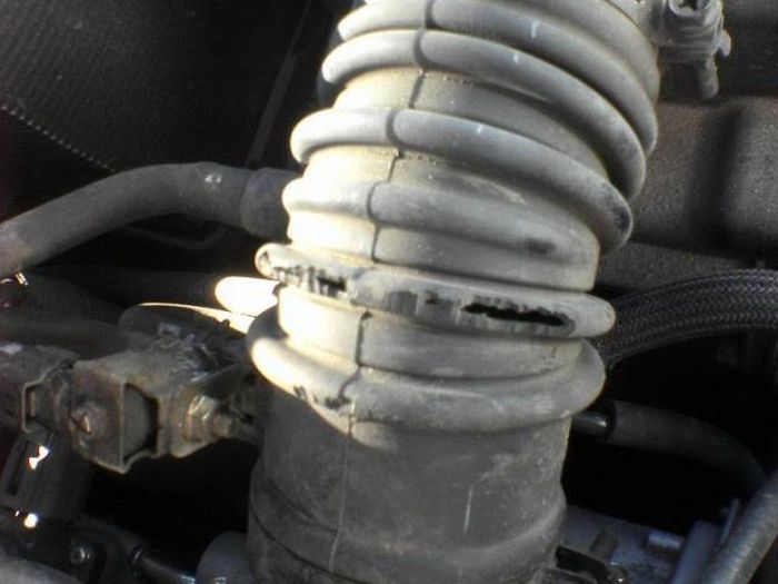 Необычные находки под капотами автомобилей