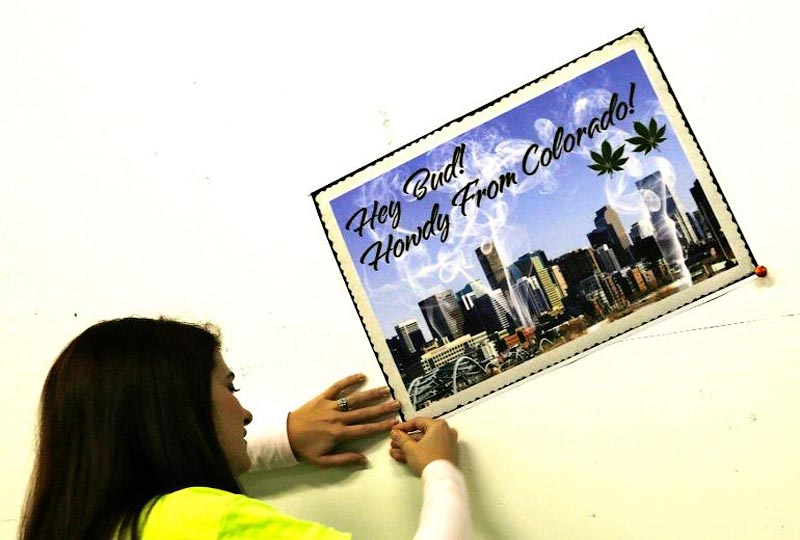 Колорадский эксперимент – в штате полностью легализована марихуана