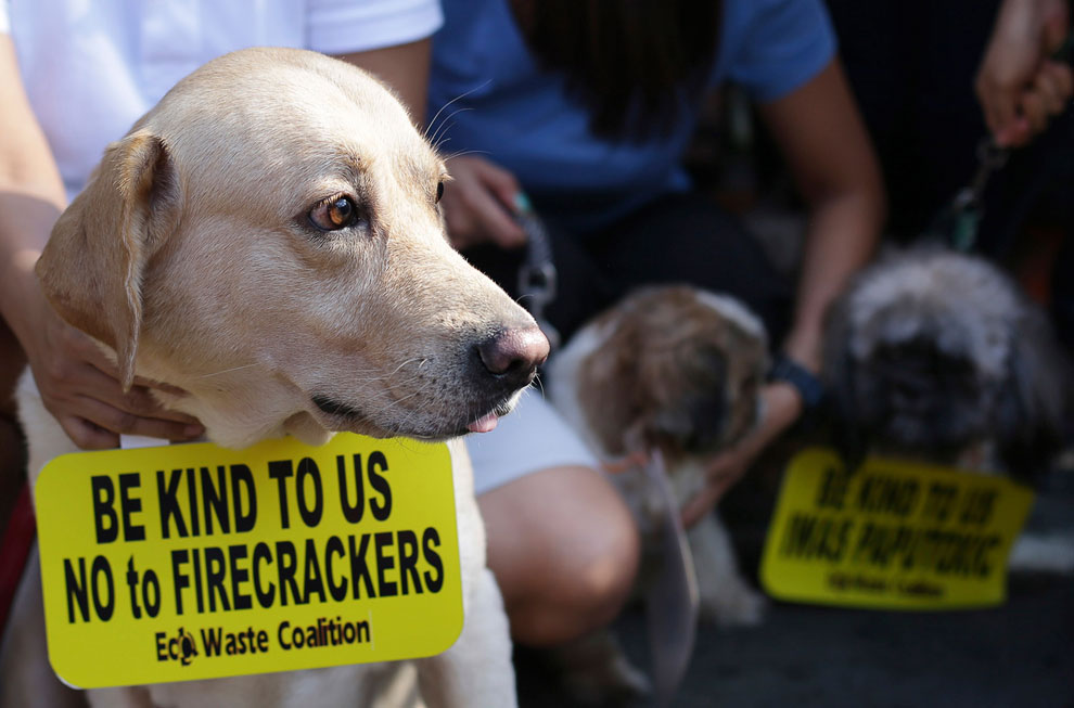 Встреча Нового года 2014 по всему миру