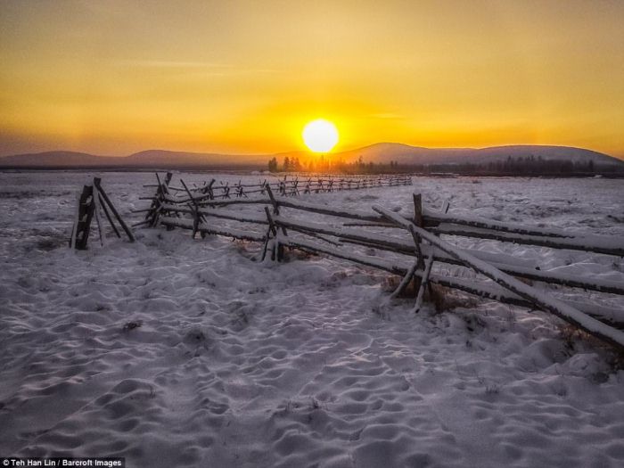 Якутские лошади – удивительные животные, выживающие при экстремально низких температурах