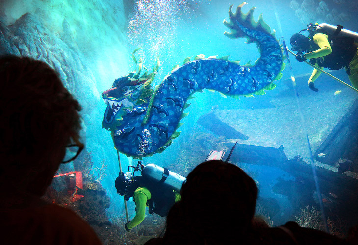 Китайский Новый год 2014