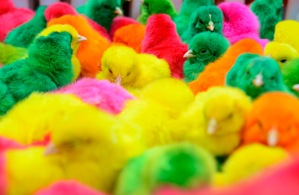 Китайский Новый год 2014