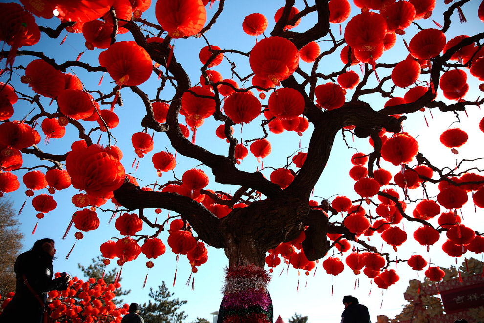 Китайский Новый год 2014